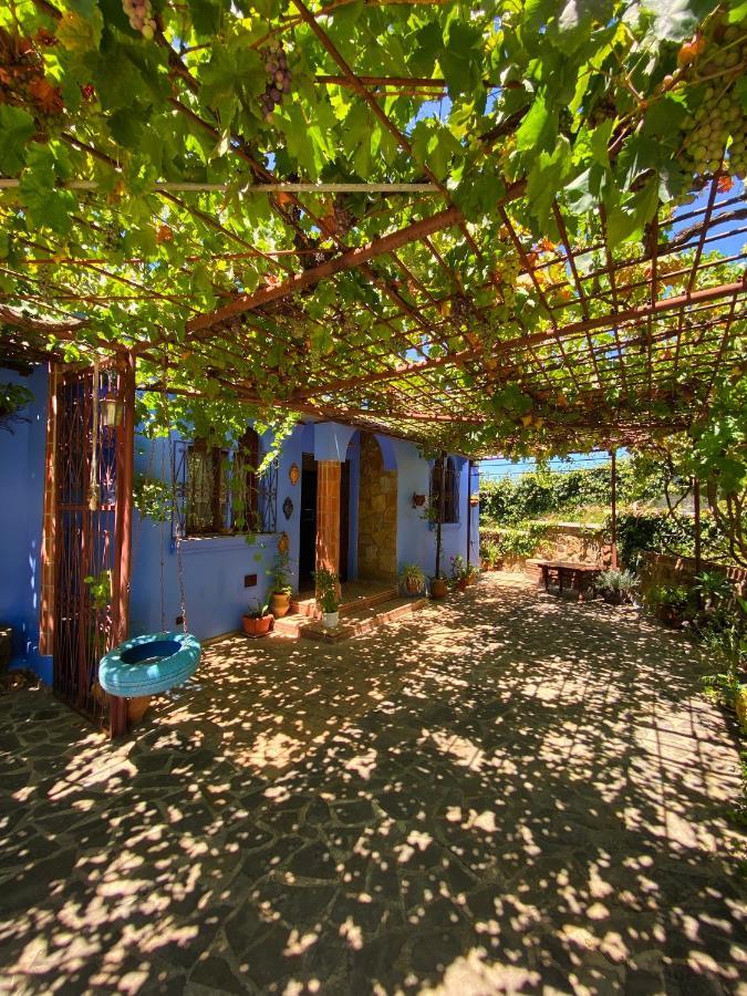 Villa Authentique Avec Vue Panoramique A 3 Km De Chefchaouen Ngoại thất bức ảnh