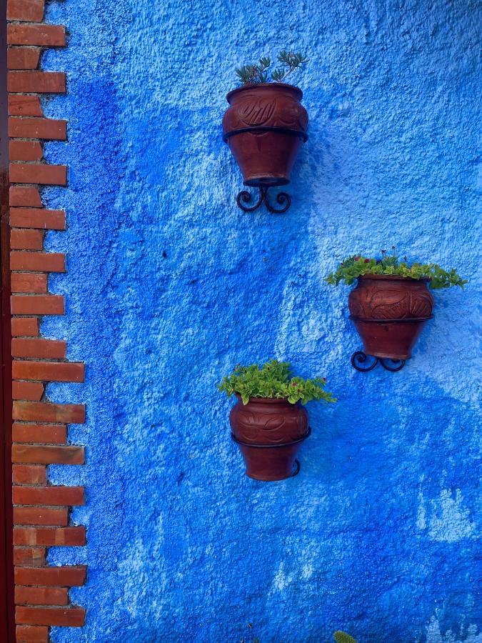 Villa Authentique Avec Vue Panoramique A 3 Km De Chefchaouen Ngoại thất bức ảnh